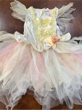 Fairy Dust Girls Pastel Fairy Tulle Costume Dress with Gold Accents Sz 3T